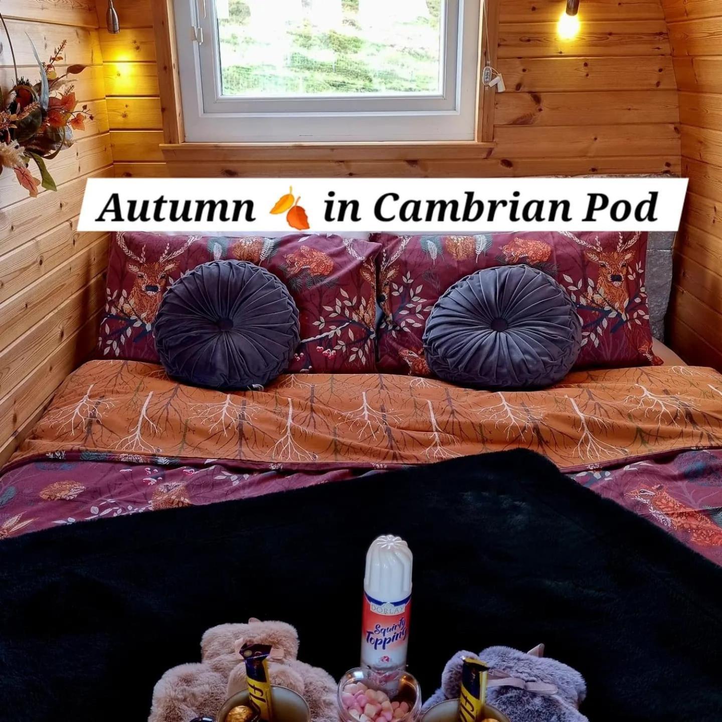 Forester'S Retreat Glamping - Cambrian Mountains View Hotel Aberystwyth Exterior photo